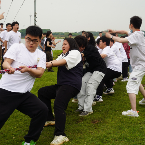 武汉艺考生文化课哪家好